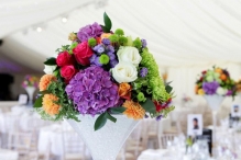 Doar Unu GREEN DREAMS S.R.L.