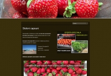 Doar Unu NetSiter Consulting